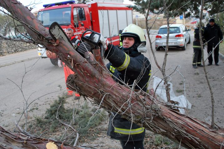 Foto M. Trinajstić