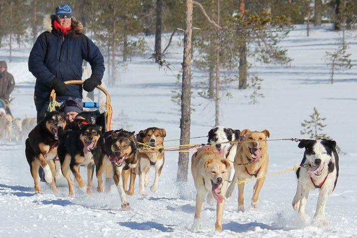 Foto: https://scandinavianmountains.se