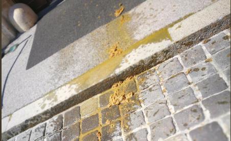 Foto Twitter Ivan Skorin, N1