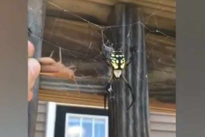 YouTube screenshot
