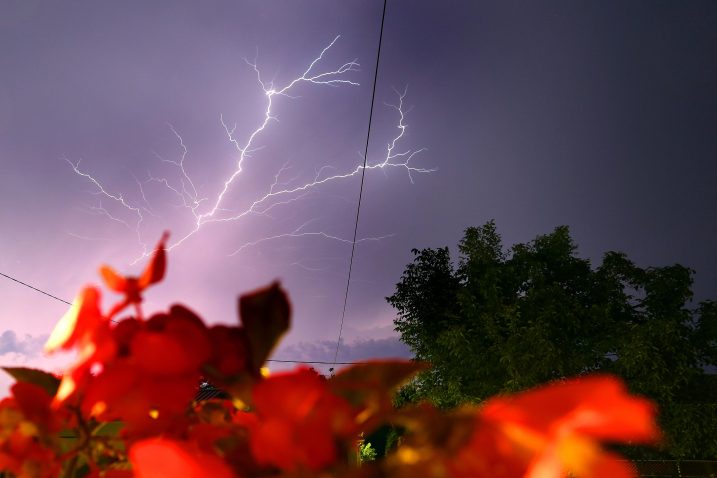Foto: Borna Filic/PIXSELL