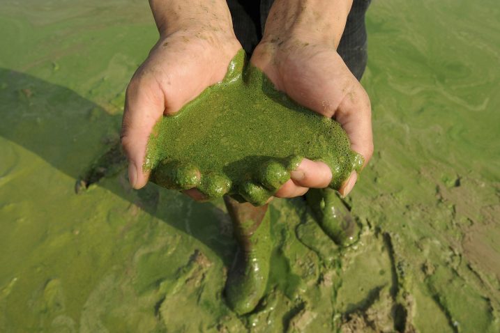 Ilustracija / Foto Reuters