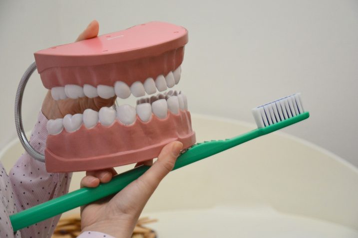 Photo: Damir Spehar/PIXSELL