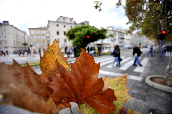 Foto S. Drechsler