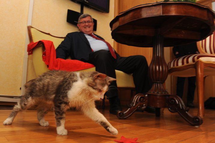 Mačak Miško od četvrtka na adresi Korzo 16/ Foto: Marko Gracin