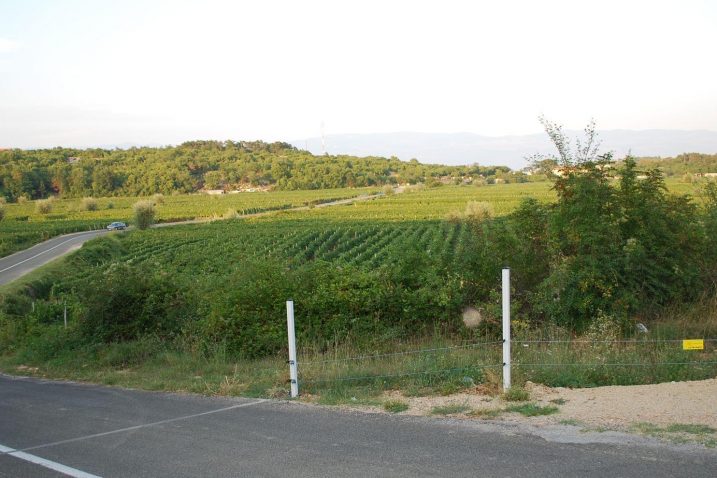 Foto:  M. TRINAJSTIĆ