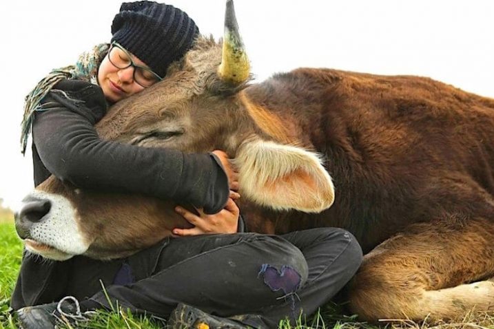 Foto Prijatelji životinja