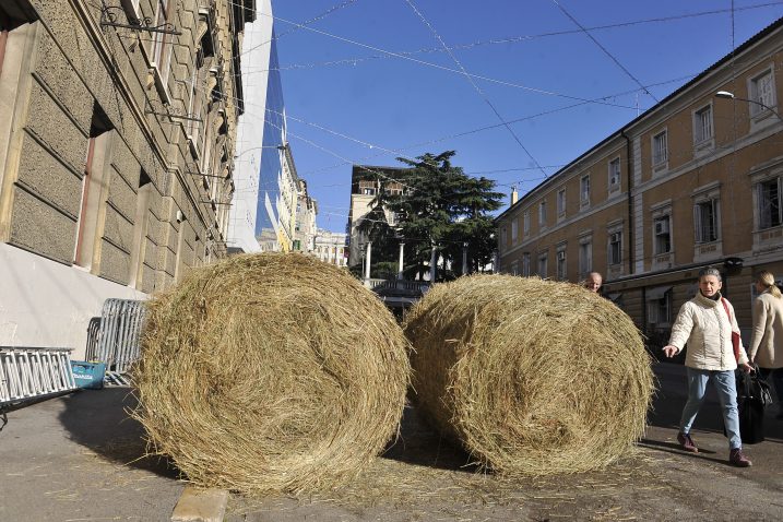 Foto Roni Brmalj