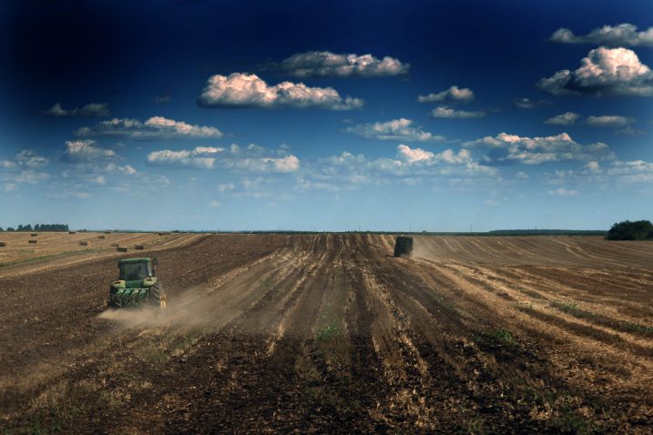 Foto N. Reberšak