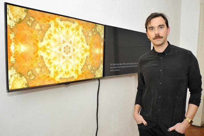 Foto S. Drechsler
