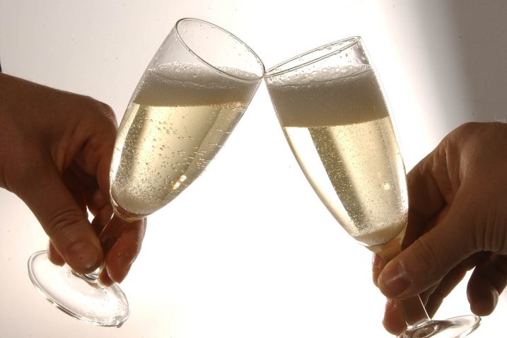 Nastavi li se ovakav trend izvoza, i županijski proizvođači pjenušaca – od Pavlomira, preko Vrbnika sve do Kastva i Zvoneća – imaju itekakve razloge za investicije u svoje proizvodne pogone, kao i u povećanje proizvodnje u vinogradima