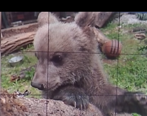 Matija danas teži 12,3 kilograma / Foto Screenshot N1