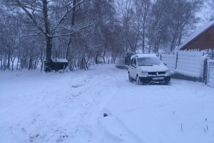 Breze se nalaze na oko 800 metara nadmorske visine / Foto M. KRIŠKOVIĆ TURINA