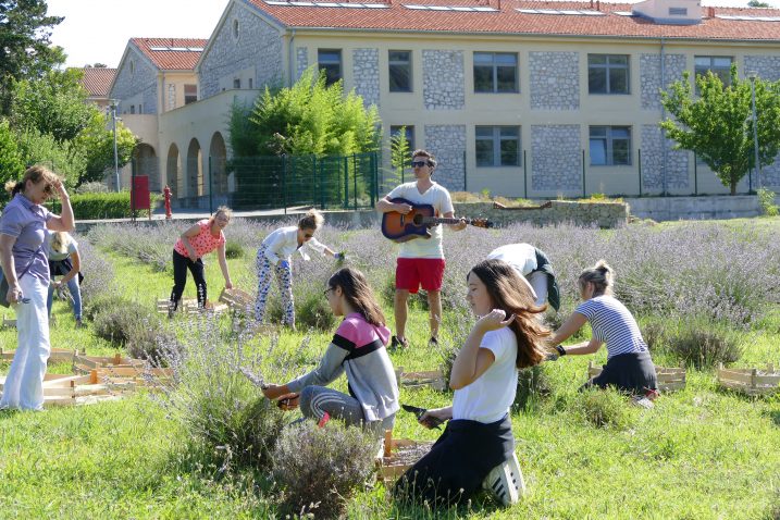 Foto H. Hodak