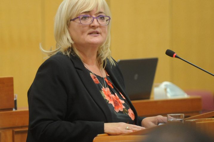 Snimio Darko JELINEK