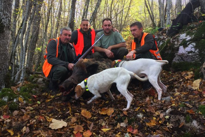 Foto Marin Smolčić