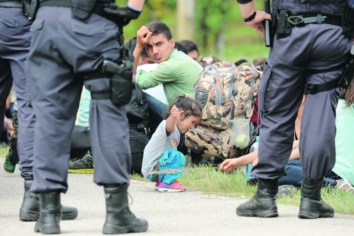 Arhiva NL
