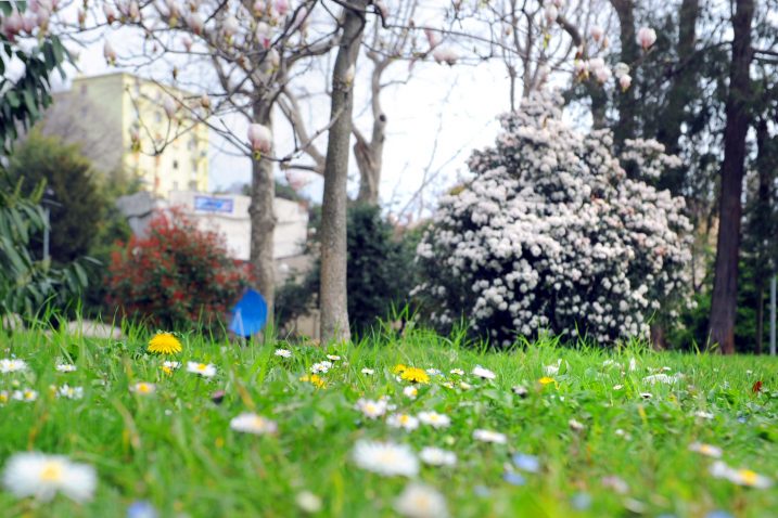 Snimio Vedran KARUZA