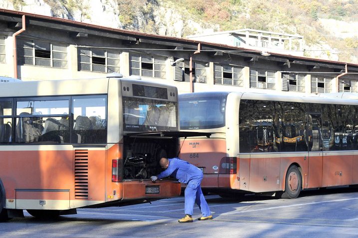 Foto S. Drechsler