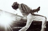 FOTO/Freddie Mercury, Flickr