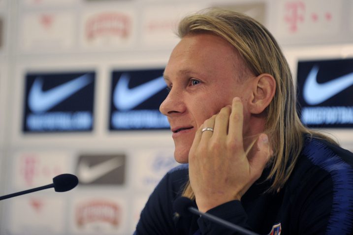 Domagoj Vida/R. BRMALJ