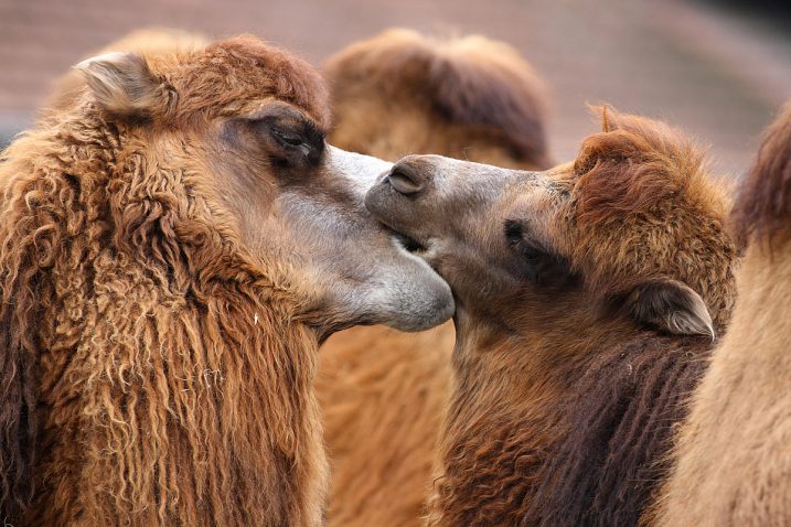 Foto ZOO Zagreb