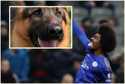 Hamza Choudhury izdvojio je pravo bogatstvo za psa čuvara