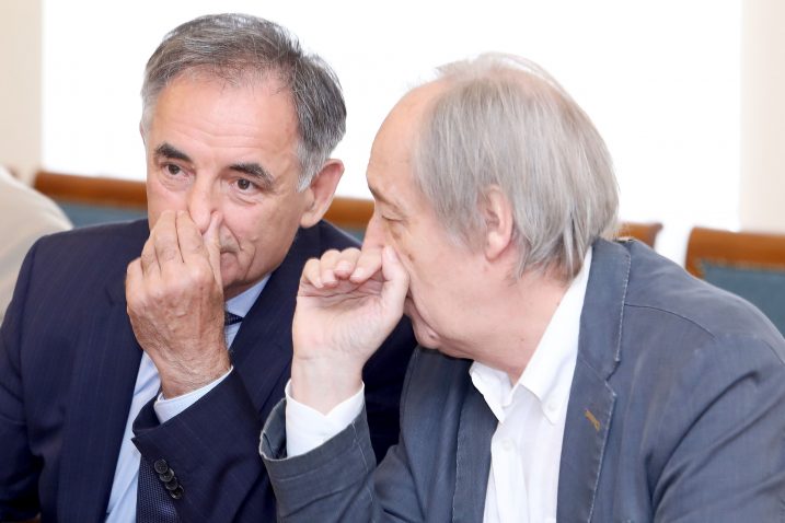 Patrik Macek/PIXSELL