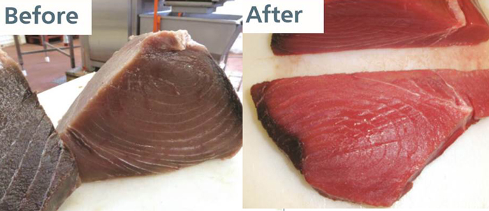 Tuna je  tretirana supstancama kojima se postiže da izgleda svježije (na slici tuna prije i poslije tretiranja) / Foto EUROPOL