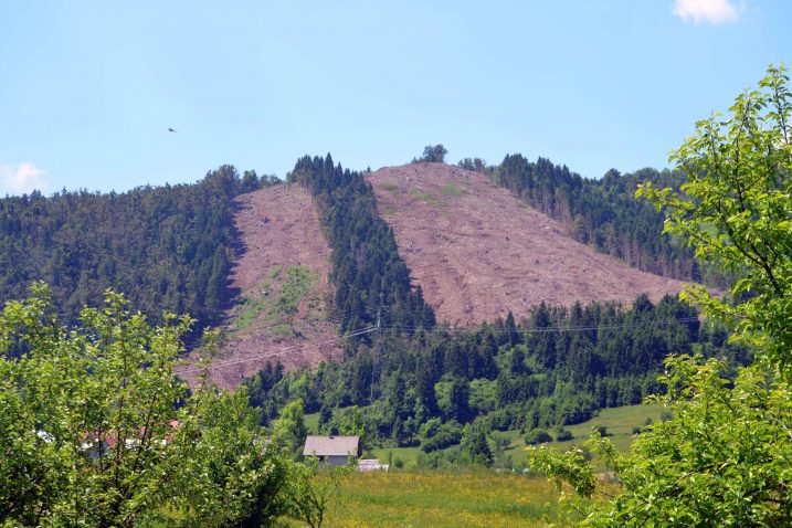 Lokacija budućeg Adrenalinskog parka Sunger spremna je za radove / Foto Marinko KRMPOTIĆ