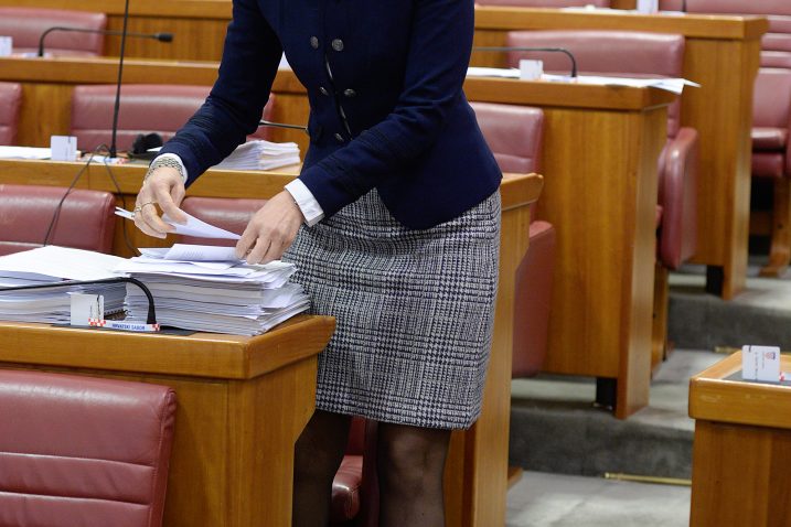 Foto: Goran Mehkek / CROPIX