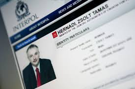 Zsoltan Hernadi,