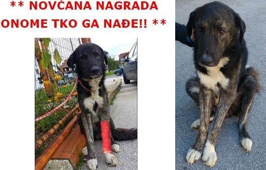 Traži se Barney