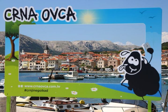 Sve je spremno za još jednu bašćansku Crnu ovcu / snimio  M. TRINAJSTIĆ