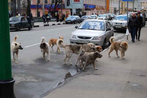 foto: balkaneu.com
