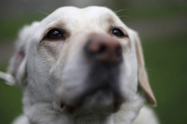 Foto Reuters