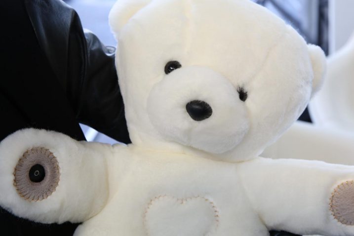 Foto Teddy the Guardian