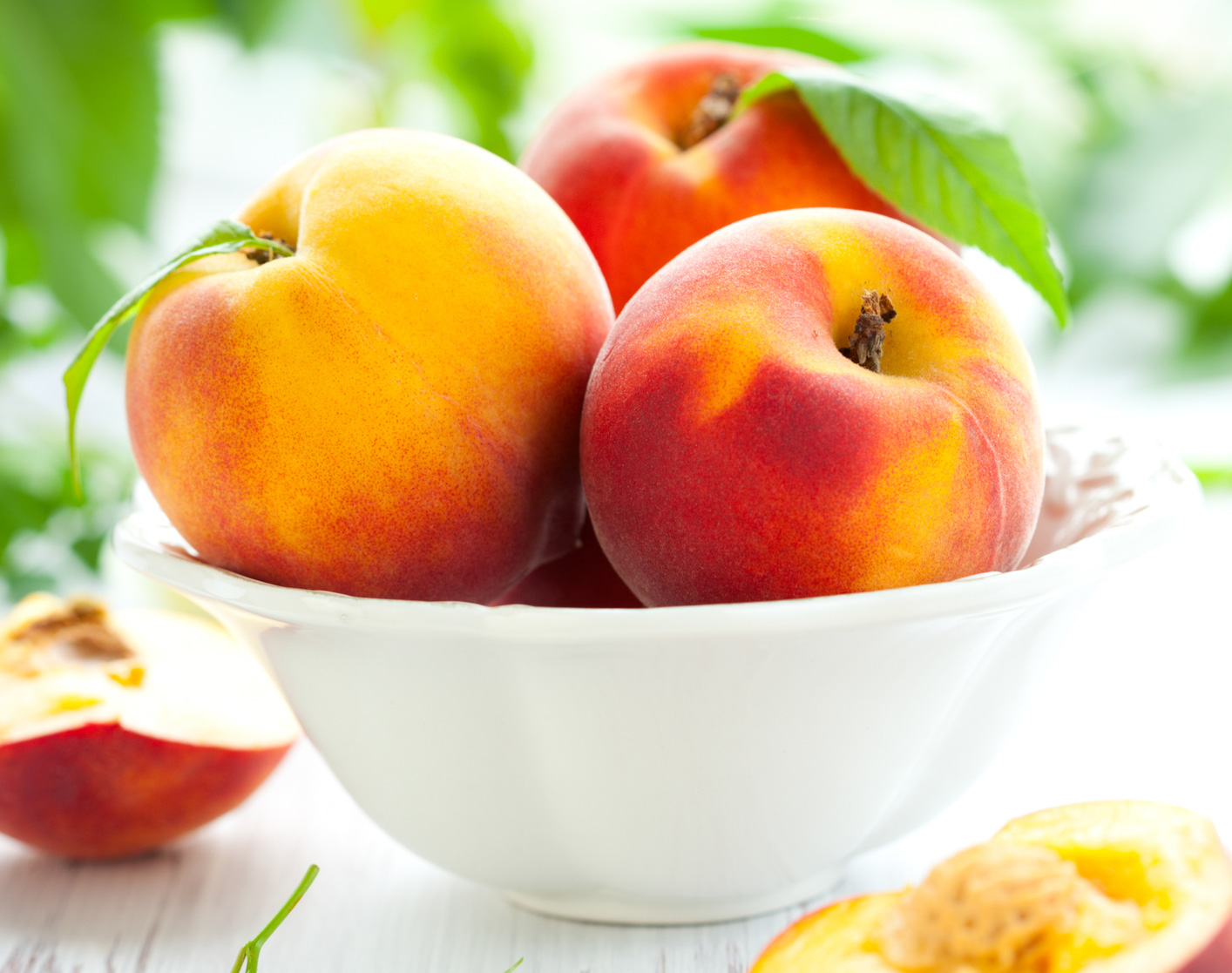 Foto Istock