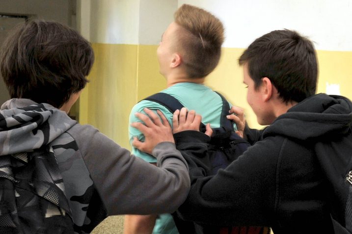 Foto D. Škomrlj