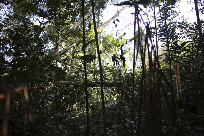 Reuters