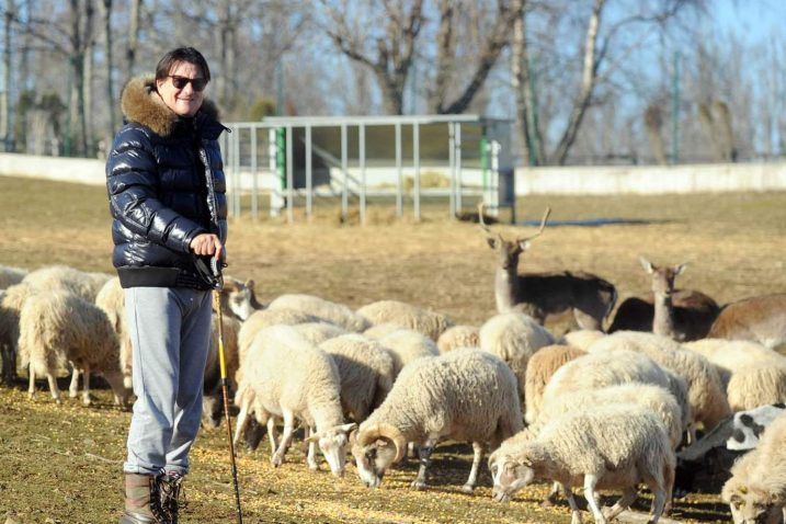 Dan s Miškovićem: 'Htio sam već lani početi graditi novu Kantridu, a nismo još srušili ni staru' - Novi list