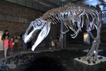 Dinosauri se u skladištu bivšeg Exportdrva na Delti mogu pogledati sve do kraja veljače 2017. godine /Snimio Sergej DRECHSLER
