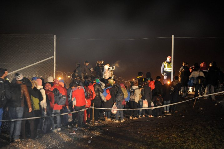 Foto N. Reberšak