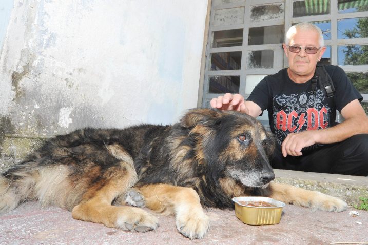 Želimir Vuletić donosi Maksu hranu / Foto Sergej Drechsler
