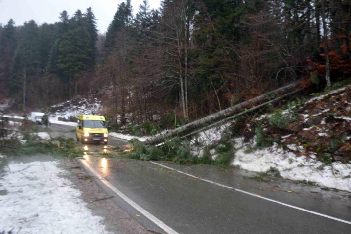 Foto: M. KRMPOTIĆ