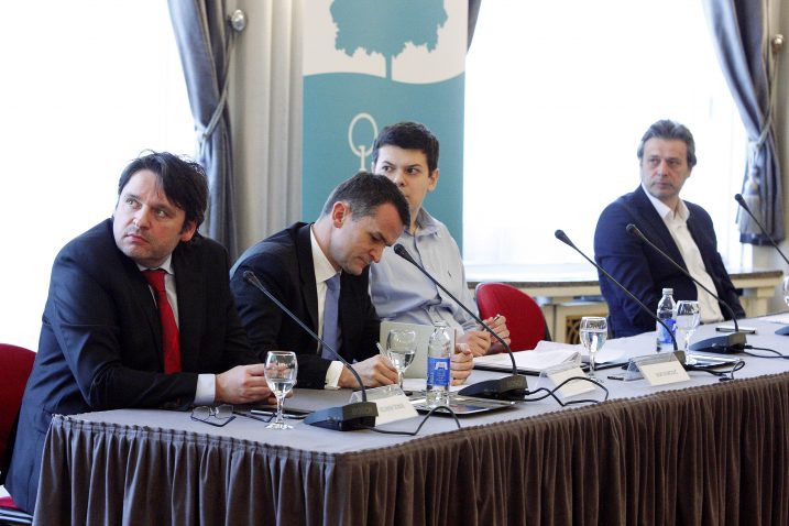 Foto 	Davor Pongracic / CROPIX