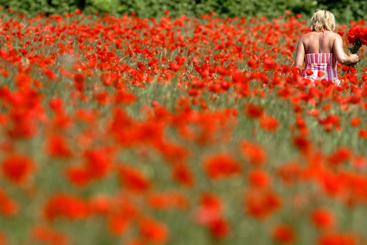 Foto Reuters