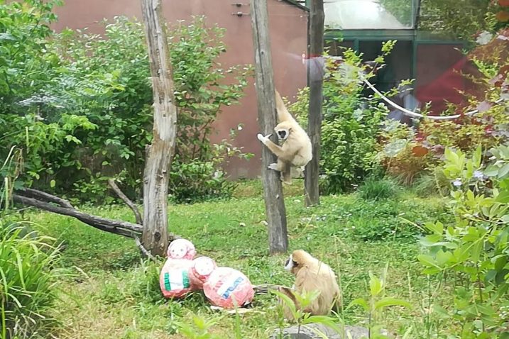 ZOO Zagreb