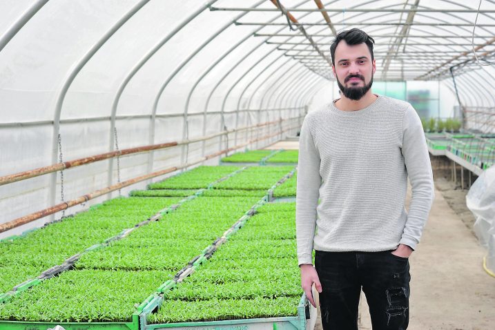 Na OPG-u Ilije Jurića prvi su krenuli sa stevijom / Foto Davor KOVAČEVIĆ