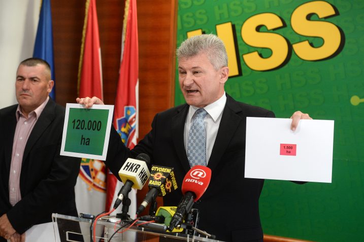 Foto: Goran Mehkek / CROPIX